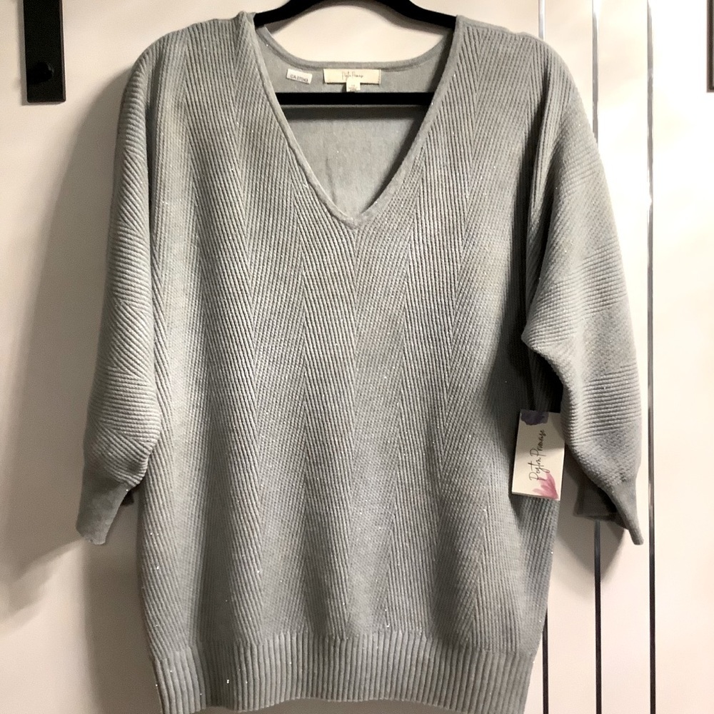 🌟Host PickPlus Size Peyton Primrose 1X Soft Grey Sparkly Textured Pullover